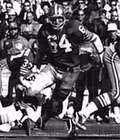 By San Francisco 49ers - Press Photo No 64 Dave Wilcox of San Francisco 49ers - oro14518. eBay Inc. Retrieved 2 September 2017front of photo back of photo, Public Domain, https://commons.wikimedia.org/w/index.php?curid=62339265