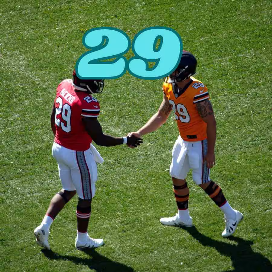 Greatest Players Who Wore the NFL Jersey 29