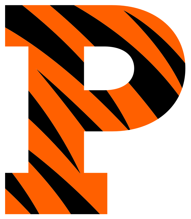 Colorized orange Princeton Tigers Logo "P" with tiger stripes