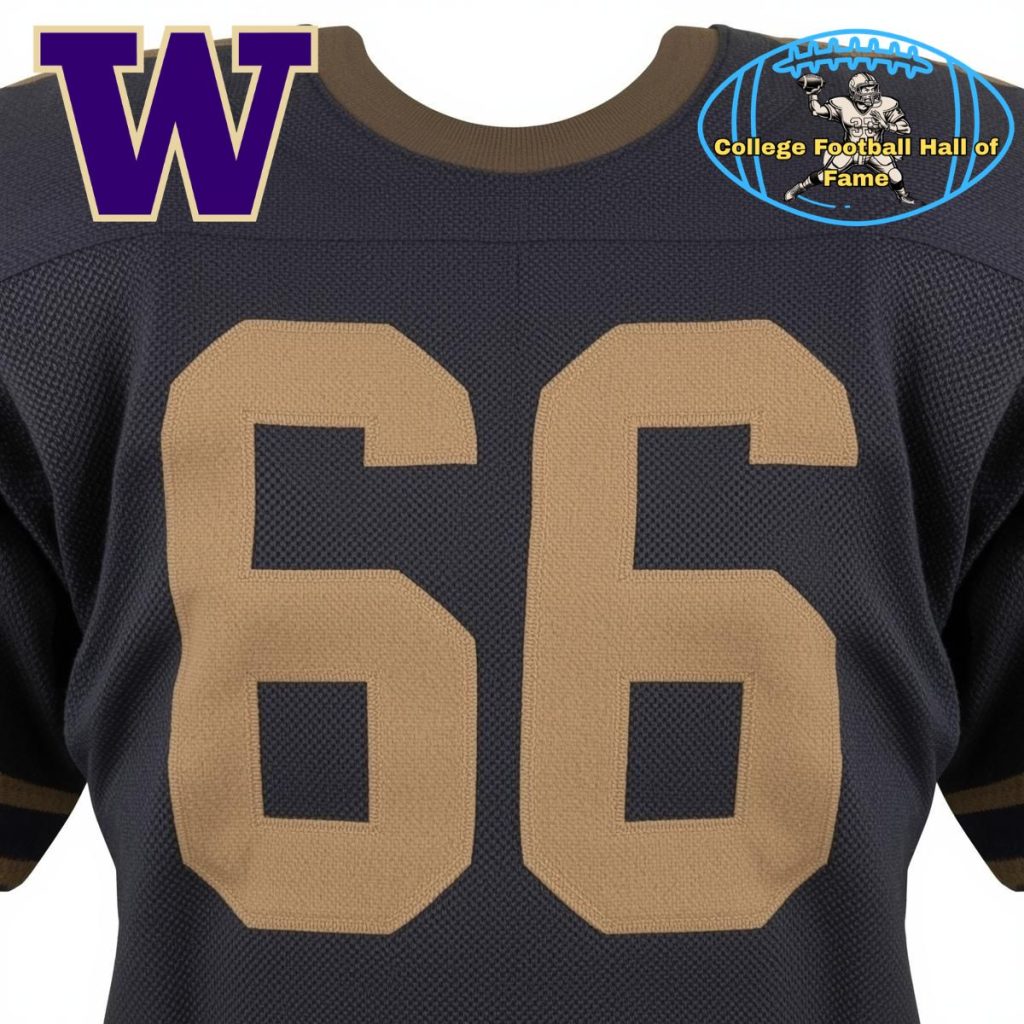 American football jersey with a white "66" on it