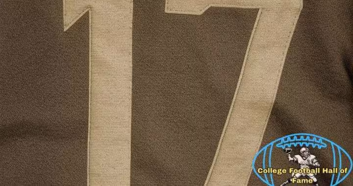 Number 17 Pitt College Football Hall of Fame image