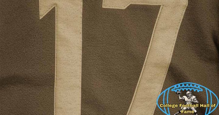 Number 17 Pitt College Football Hall of Fame image