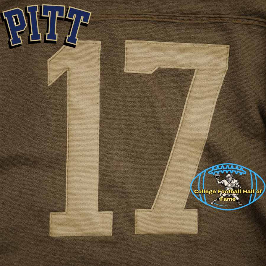 Number 17 Pitt College Football Hall of Fame image
