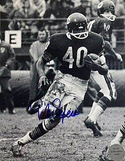 Vintage black and white action photo of Gale Sayers in his dark Chicago Bears uniform jersey 40 gracefully running around end.