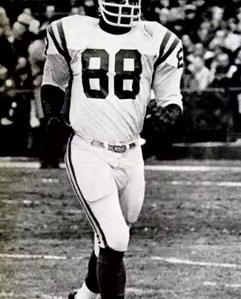 Former Minnesota Vikings defensive tackle Alan Page