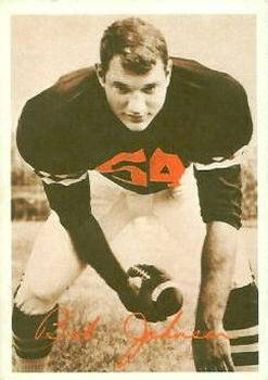 A promotional image of Cincinnati Bengals player Bob Johnson. (1969)